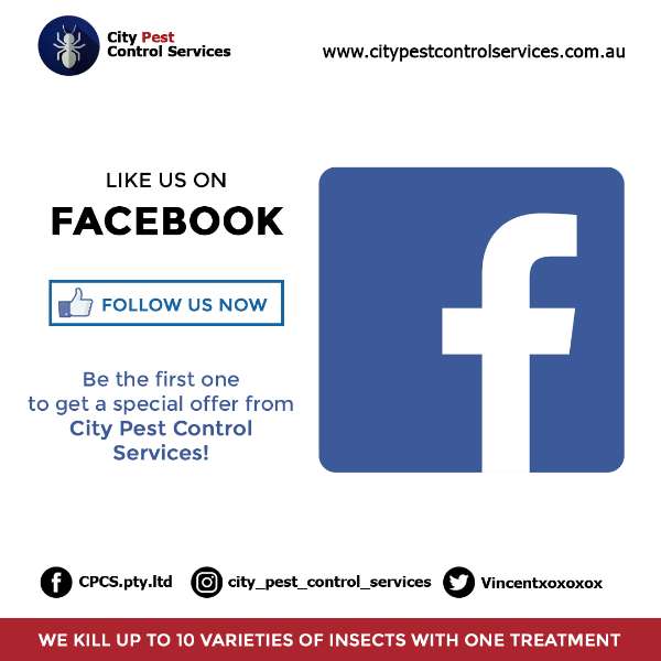 SPECIAL OFFERS