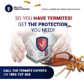 Termite Control Kambah