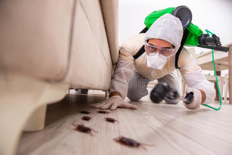 Cheap Pest Control VS Professional City Pest Control Service