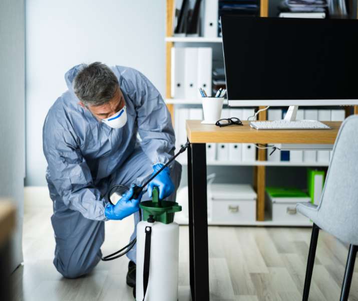 Pest Control in Canberra