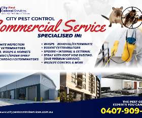 The Best Pest Commercial Control Service in Canberra | City Pest Control