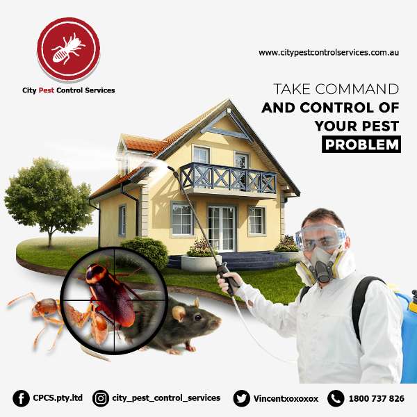 All-in Services (PREMIUM) for Rodents all areas