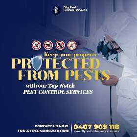 Pest Control - Pest Control Expert - Pest Control Canberra | City Pest Control Services - Canberra