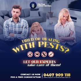 Canberra Pest Experts - Pest Control Experts in Canberra - Pest Control Services in Canberra | City Pest Control Services