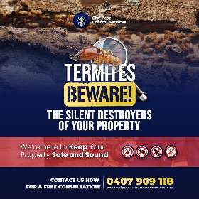Professional Termite Inspection - Termite Control Canberra | City Pest Control Services Canberra
