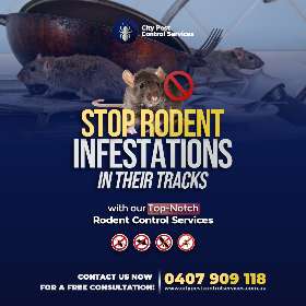 Rodent Control Canberra - Rodent Inspection Canberra - Pest Control Canberra | City Pest Control Canberra