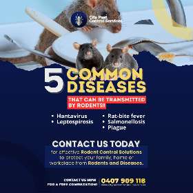 Rodent Control Canberra - Pest Control in Kambah | City Pect Control Services