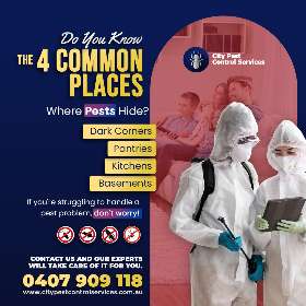 Common Hidden Places Where Pests Hide - Pest Control Solutions in Canberra | City Pest Control Services