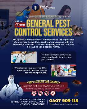 General Pest Control Services in Kambah and Canberra | City Pest Control Services