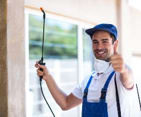 Local Pest Control Professionals - Pest Control Kambah and Canberra | City Pest Control Services