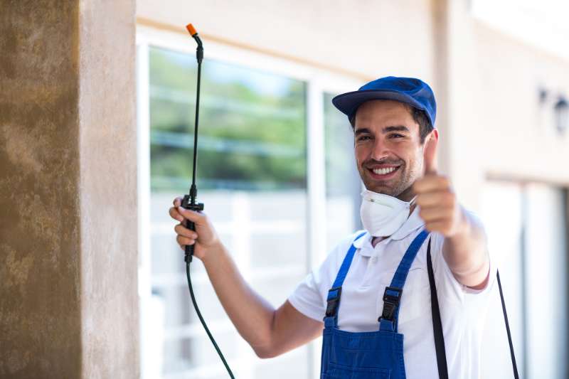 professional pest control services in canberra