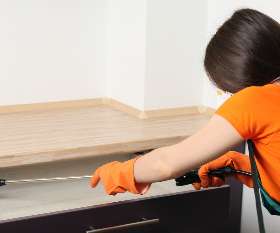 DIY Pest Control - Pest Control Kambah and Canberra | City Pest Control Services