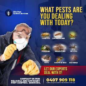 Affordable Pest Control Services in Canberra and Kambah | City Pest Control Services
