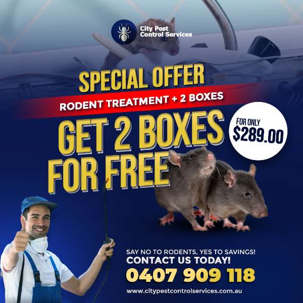 Rodent Treatment Special Offer!