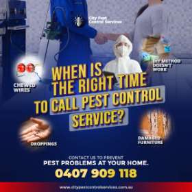 City Pest Control Services | Kambah and Canberra