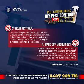 Pest Control Hacks with Vinegar | City Pest Control Services - Canberra 2