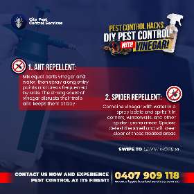 Pest Control Hacks with Vinegar | City Pest Control Services - Canberra 3