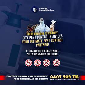 City Pest Control Services | Kambah and Canberra