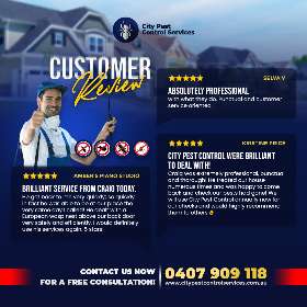 Customer Review - Five Star Pest Control Services | City Pest Control Services