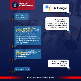 The Bests Pest Control on Google Search Results - Pest Control Company in Canberra | City Pest Control Services