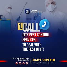 Effective Tips For Dealing With Pest Infestations - Pest Control Canberra 2
