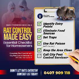 Rat Control Checklist for Your Effective Solutions | City Pest Control Services - Pest Control Canberra