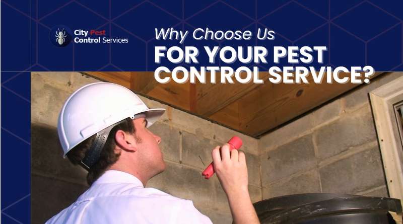 Pest Control Services in Kambah and Canberra - Why Choose Us?