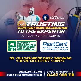 Accredited and Trusred Pest Control Business in Australia | City Pest Control Services