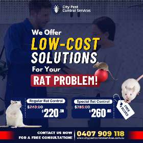 Low Cost Solutions For Your Rat Problem | City Pest Control Service