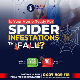 Spider Control To Make Your Home and Business Spider-Free | City Pest Control Services