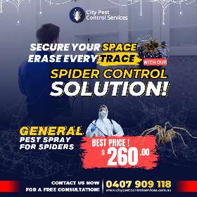 General Spider Spray for Spiders - Spider Removal in Canberra | City Pest Control Services