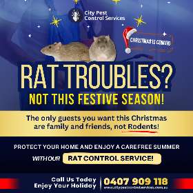 Christmas Rat Control Service | City Pest Control Service