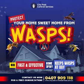 Home Spray for Wasp Control in Canberra | City Pest Control Services