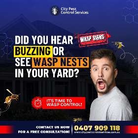 City Pest Control Services | Kambah and Canberra