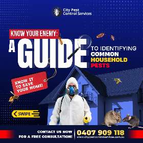A Guide to Identifiying Common Household Pests | City Pest Control Services - 1
