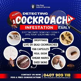Spot the Signs Before It's Too Late! | City Pest Control Services
