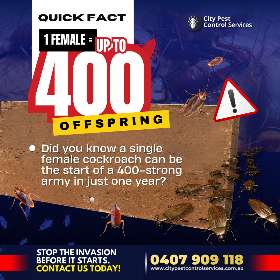One female can lead to 400 in a year! | City Pest Control Service