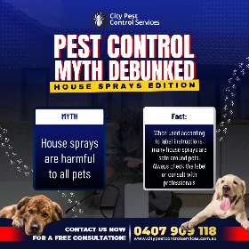House Sprays Myth and Facts | City Pest Control Service