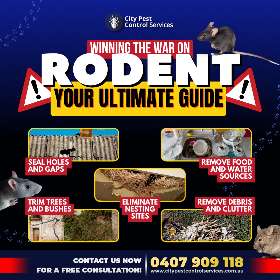Rodent Prevention | City Pest Control Services 