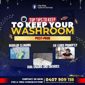 Top Tips to Keep Your Washroom Pest-Free | City Pest Control Services