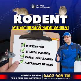 Rodent Control Service Checklist | City Pest Control Services