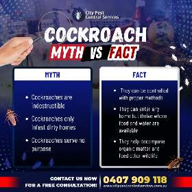 City Pest Control Services | Kambah and Canberra