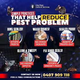 Simple Practices Reduce Pest Problems | City Pest Control Services