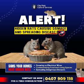 1 in 5 Houses in Canberra has Rodent Problems | City Pest Control Services