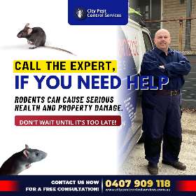 Call the expert if you need help | City Pest Control Services