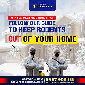 Follow our guide to keep rodent's out of your home | City Pest Control Services