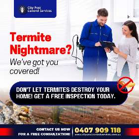 Termite Nightmare? | City Pest Control Services
