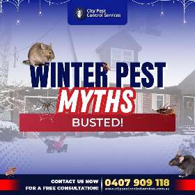 Winter Pest Myths | City Pest Control Services