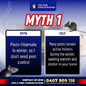 City Pest Control Services | Kambah and Canberra