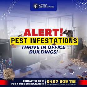 Pest Building Service Canberra | City Pest Control Services